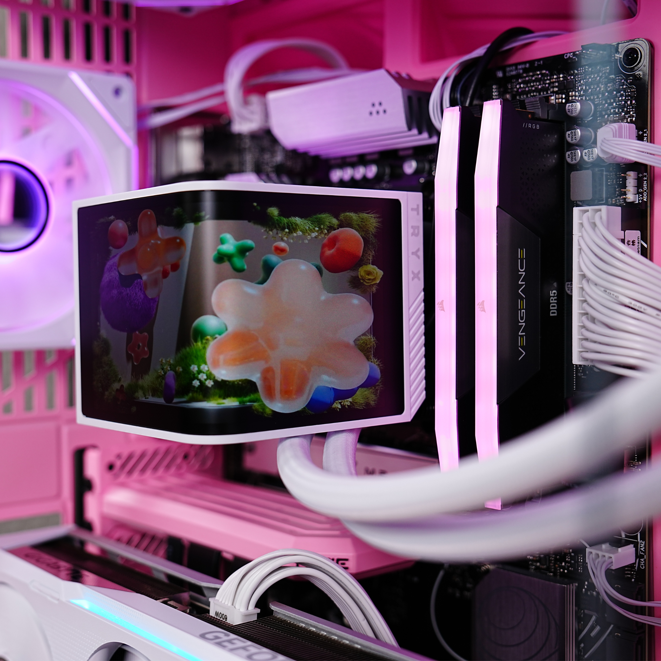TECHNOID Limited Edition Gaming Pc (AMD Ryzen 7 7800X3D - RTX 5070 - 2TB SSD - 32GB RAM DDR5- Win 11 Pro - HYTE Y70 - pink)
