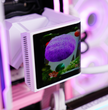 TECHNOID Limited Edition Gaming Pc (Amd Ryzen 7 9700x - RTX 5070 - 2TB SSD - 32GB RAM DDR5- Win 11 Pro - HYTE Y70 - pink)